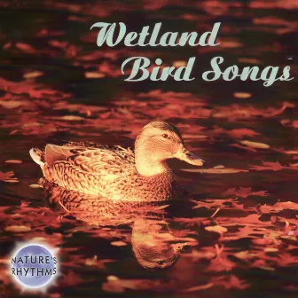 Wetland Bird Songs by Columbia River Group Entertainment