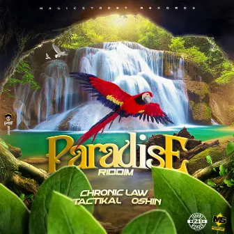 Paradise Riddim by Oshin