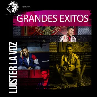 Grandes Exitos by Luister La Voz