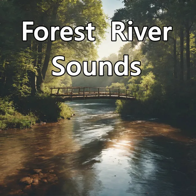 Meditative Flow of the Forest River