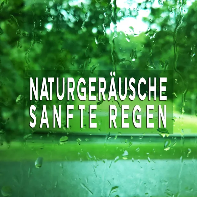 Naturgeräusche: Sanfte Regen, Pt. 35