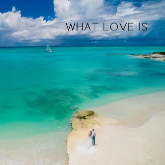 I Didn't Know (What Love Is) by MC FÜBB