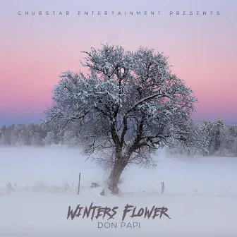 Winters Flower by Don Papi