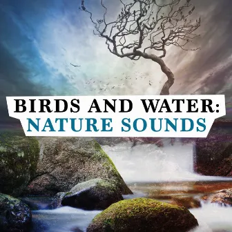 Birds and Water: Nature Sounds by Sound Library XL