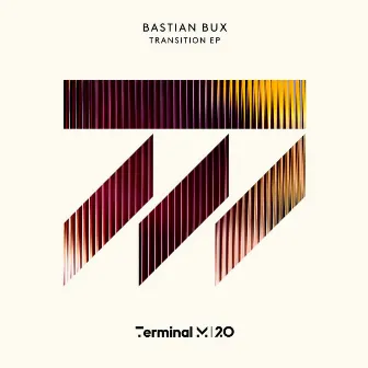 Transition by Bastian Bux