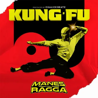 Kung Fu by Manes del Ragga