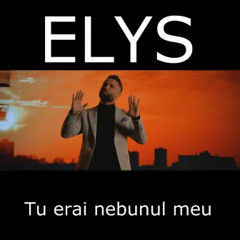 Tu erai nebunul meu by Elys