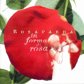 In forma di rosa by Rosapaeda