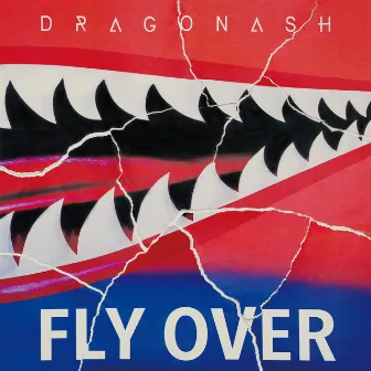 Fly Over feat. T$UYO$HI by Dragon Ash