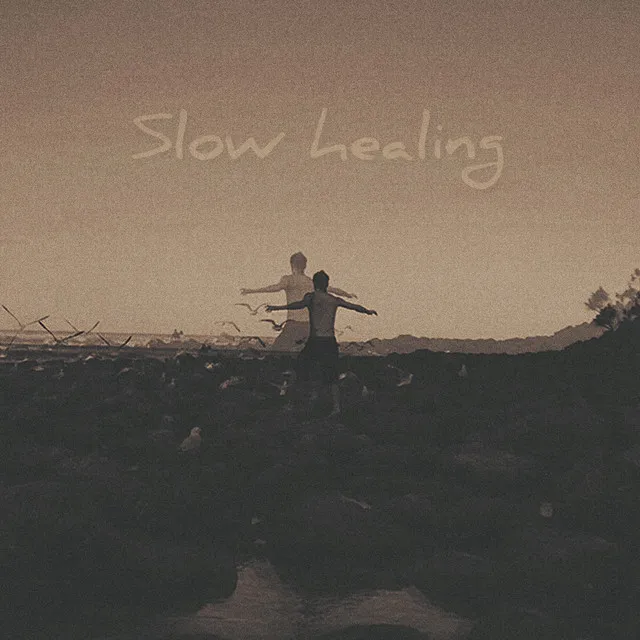 Slow Healing