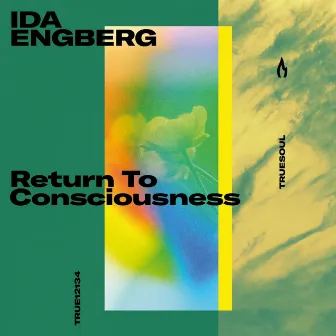 Return to Consciousness by Ida Engberg