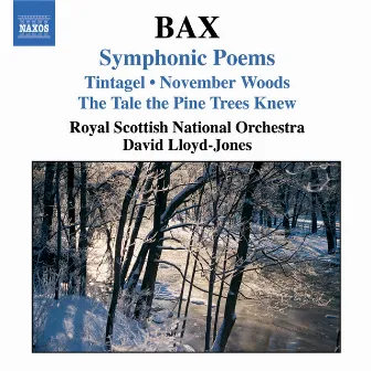 Bax: Symphonic Poems by Arnold Bax