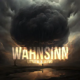 Wahnsinn by little M