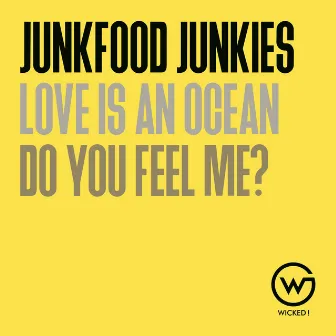 Do You Feel Me? / Love Is an Ocean by Junkfood Junkies