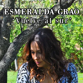 Vuelve al sur by Esmeralda Grao