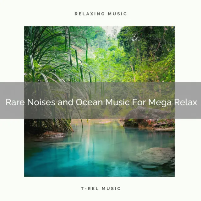 Rare Noises and Ocean Music For Mega Relax