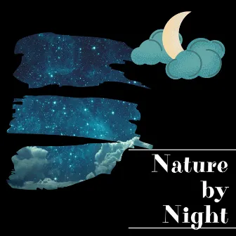 Nature by Night by Night Sounds Channel