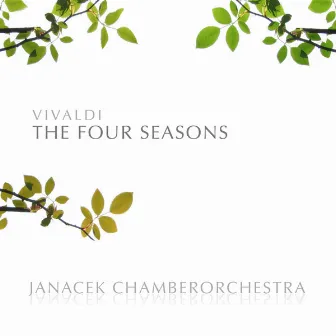 Vivaldi: The Four Seasons by Janacek Chamber Orchestra