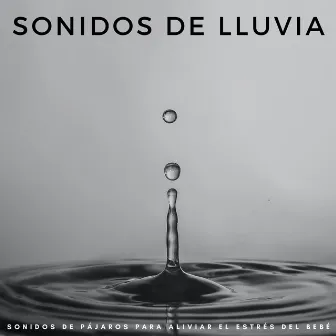 Sonidos De Lluvia: Sonidos De Pájaros Para Aliviar El Estrés Del Bebé by Radio 1 Pajaros y Ranas