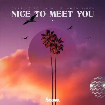 Nice To Meet You by Charlie Boulala