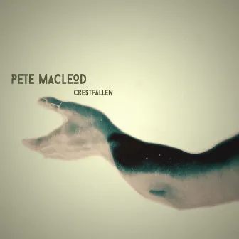 Crestfallen by Pete MacLeod