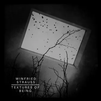 Textures of Being by Winfried Strauss