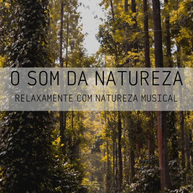 O Som Da Natureza: Relaxamente Com Natureza Musical