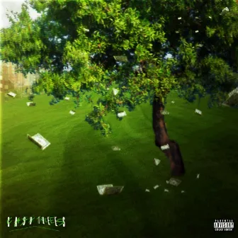 CASH TREES by LDN