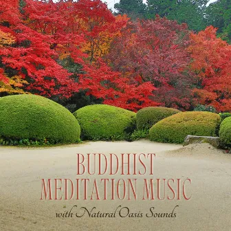 Buddhist Meditation Music with Natural Oasis Sounds by Daily Meditation Music Society