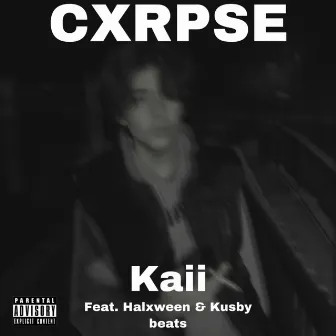 CXRPSE by Kaii