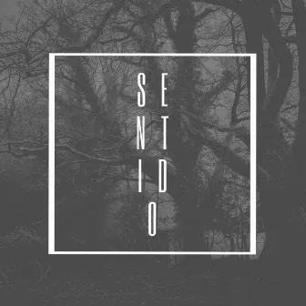 Sentido by G. O.