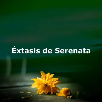 Éxtasis de Serenata by Dormir Profundamente Hipnosis