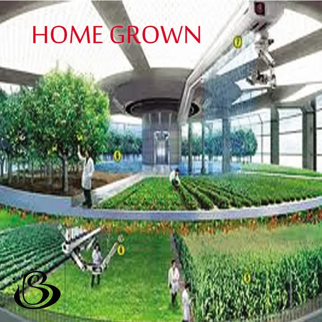 Home Grown