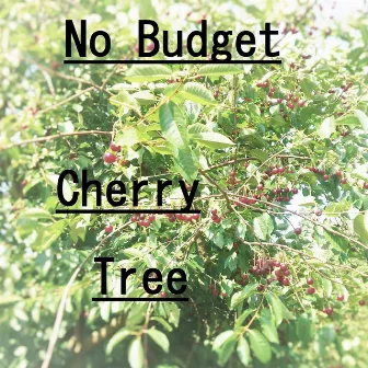 Cherry Tree by No Budget