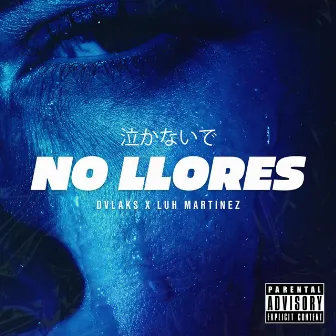 NO LLORES by Jotabe Negge