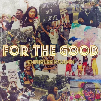 For the Good by Chris Lee