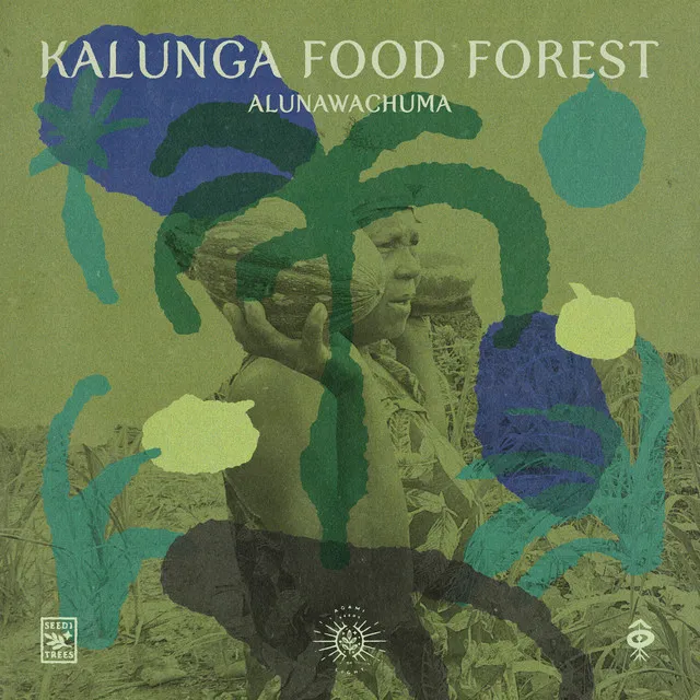 Kalunga Food Forest