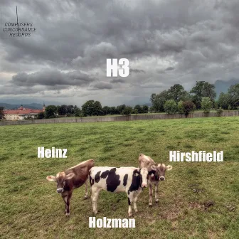 H3: Heinz, Holzman, Hirshfield by Jeff Hirshfield