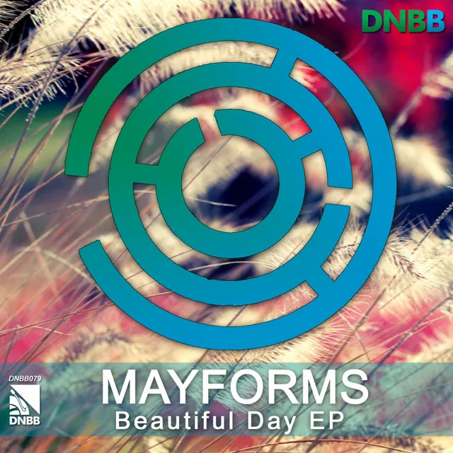 Beautiful Day - Original Mix