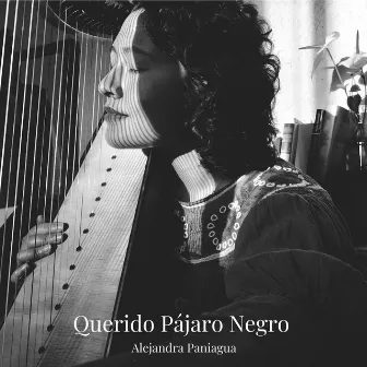 Querido Pájaro Negro by Alejandra Paniagua