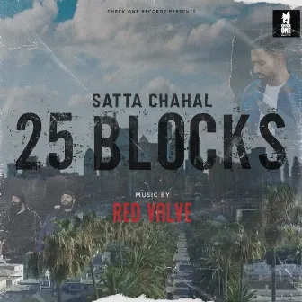 25 Blocks by Red Valve