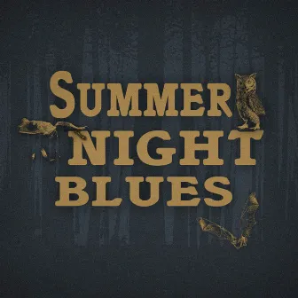 Summer Night Blues by Jake Five