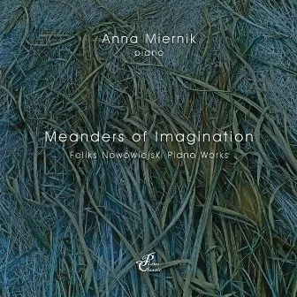 Meanders of Imagination by Anna Miernik