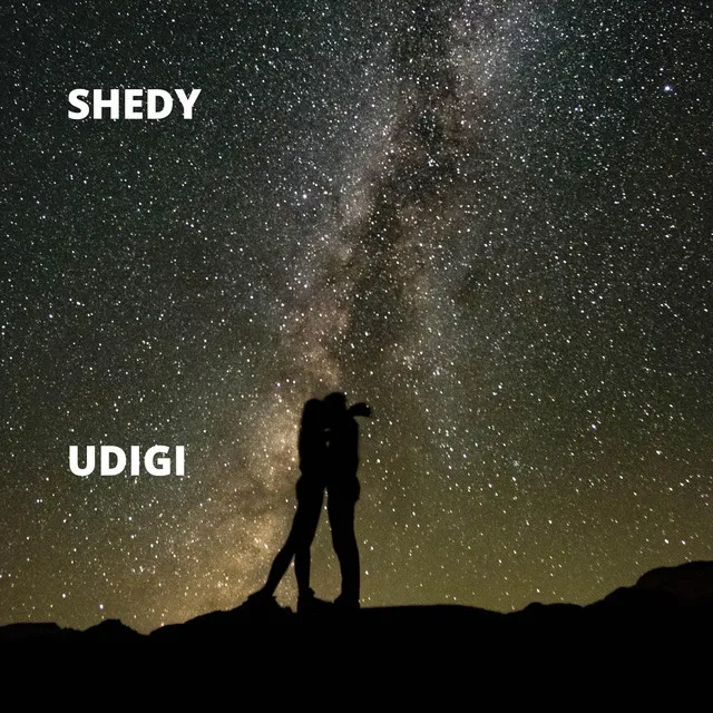 Udigi