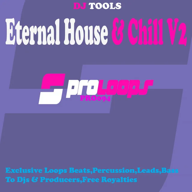 Eternal House & Chill V2 Percu 3 128 - Tool 4