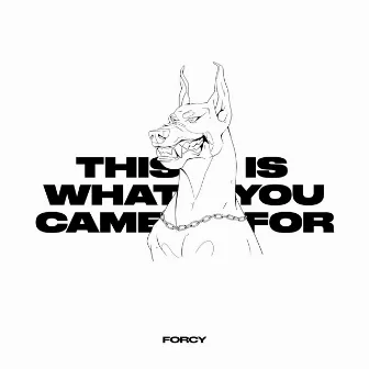 This Is What You Came For by Forcy