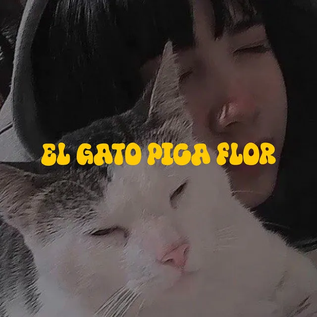 El Gato Pica Flor