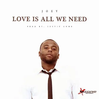 Love Is All We Need by Joey