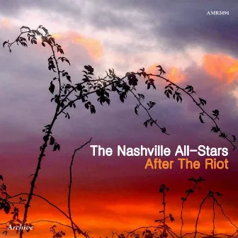 After the Riot at Newport by The Nashville All-Stars