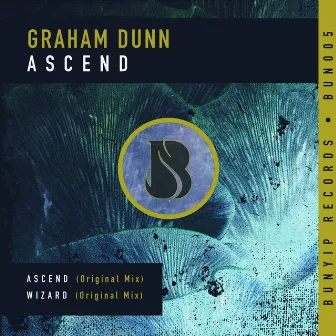 Ascend by Graham Dunn